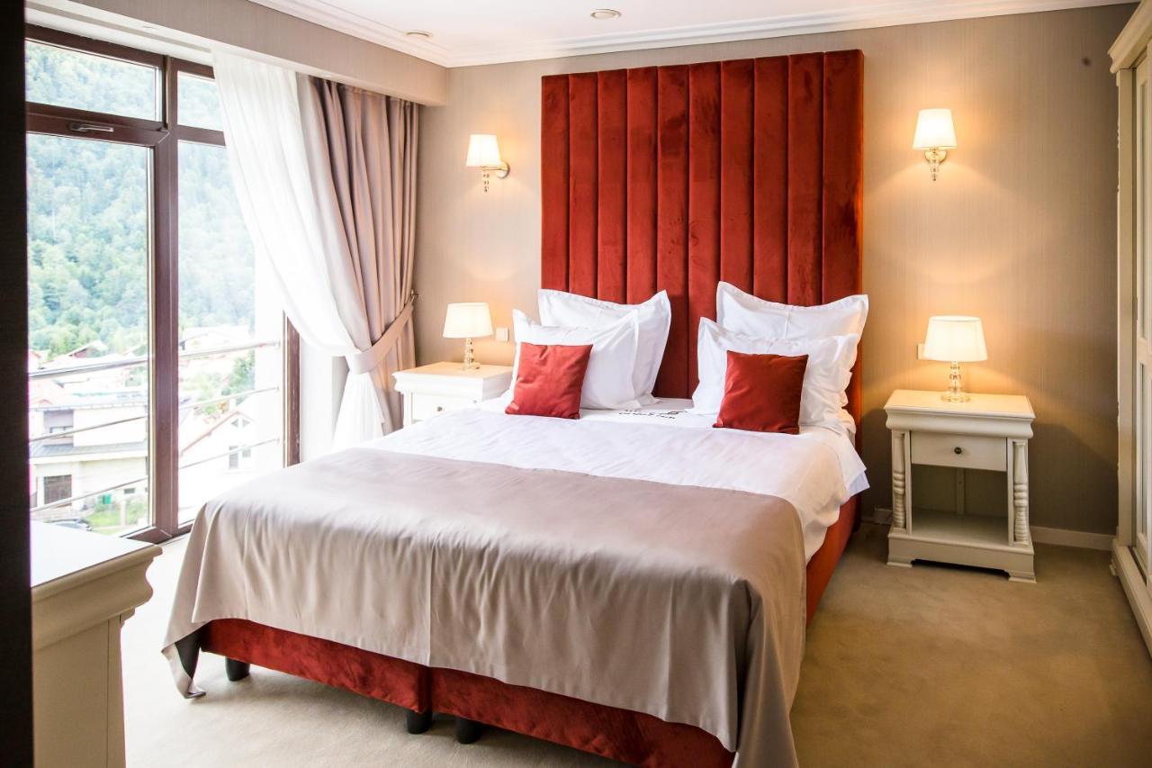 Hotel Carpat Inn Azuga Eksteriør billede